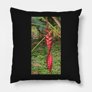 An Exotic Heliconia Pillow