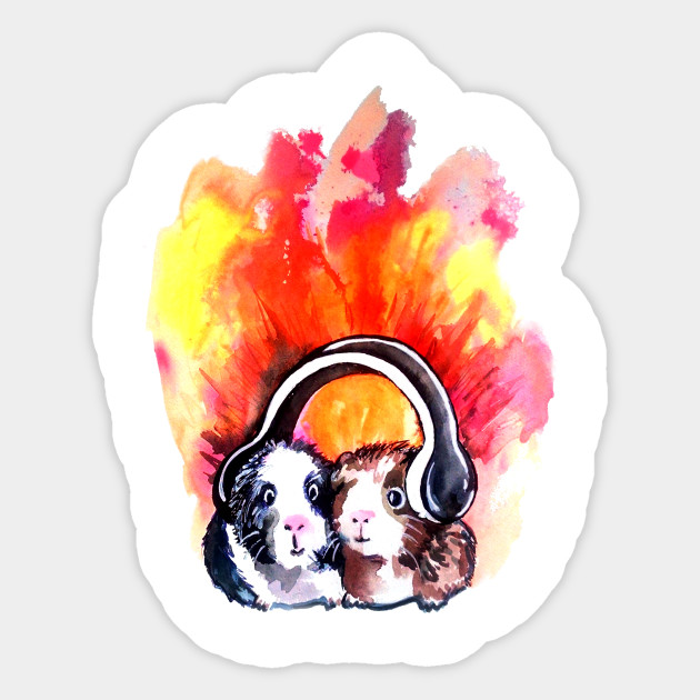 Guinea Pigs Listening To Music