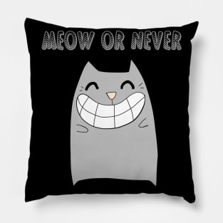 Meow Or Never Pillow