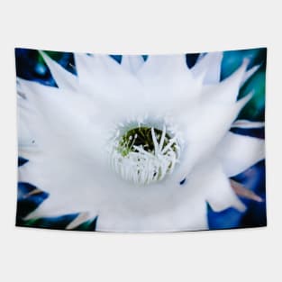 White Flower of cactus Tapestry