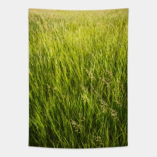 Blooming wild bromus Tapestry