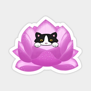 Cat In A Lotus Magnet