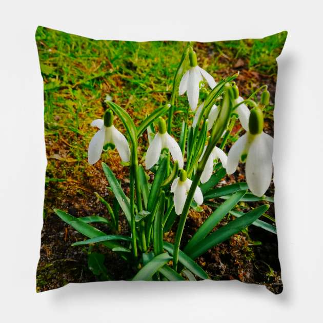 Beautiful Snowdrops In The Grass Fields Pillow by colorful444