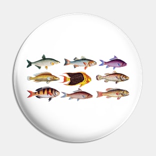 Goldfish pattern Pin