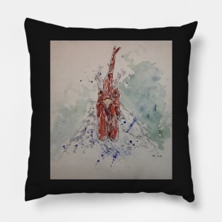 Rooster portrait. Pillow