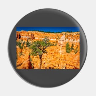 Bryce Canyon National Park Pin