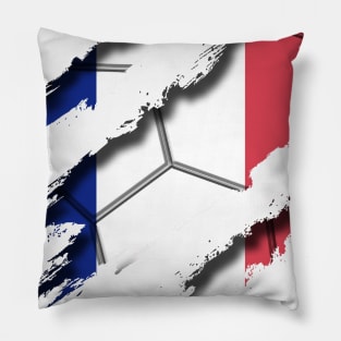 France Football Pillow
