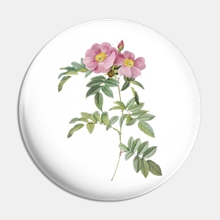 Prairie rose Pin