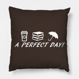 Perfect Day Pillow