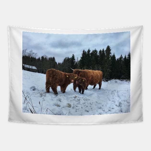 Scottish Highland Cattle Calves and Cow 1603 Tapestry by SaarelaHighland