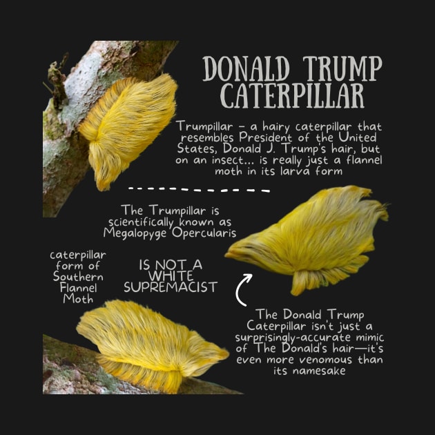 Animal Facts - Trump Caterpillar by Animal Facts and Trivias