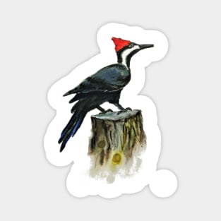 Pileated Woodpecker in Watercolor Magnet