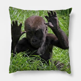 Gorilla20150902 Pillow