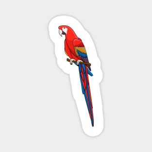 Scarlet macaw parrot cartoon illustration Magnet