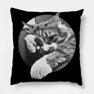 SIDE EYE CAT IS OVER IT. UGH. Funny kitten meme image. Pillow