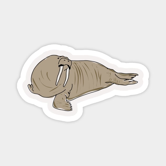 Walrus Magnet by FabuleusePlanete