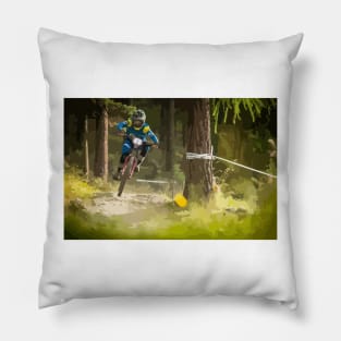 Sam Hill Painting Pillow