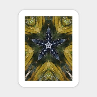 Unique Kaleidoscope of Alligator in a Pond Magnet