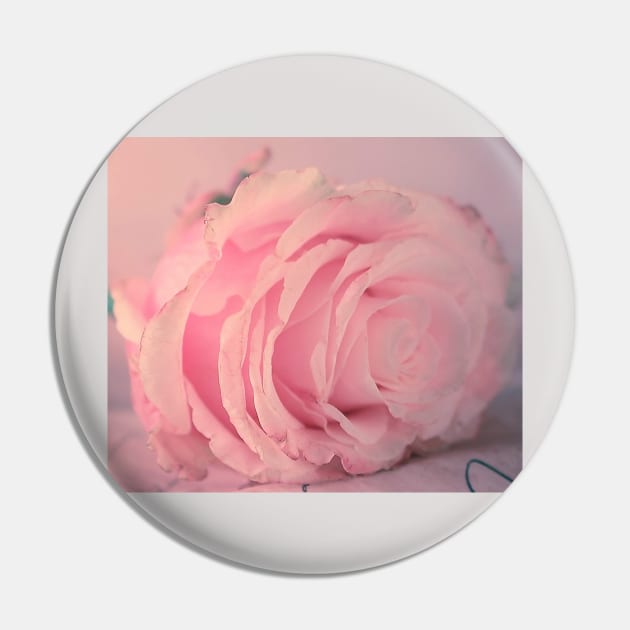 rose Pin by MojcaD