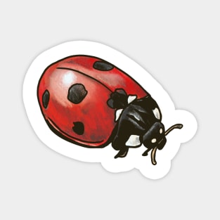 Ladybug Magnet