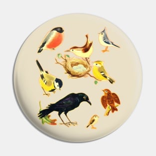 Vintage Styled Birds Illustration Design Pin