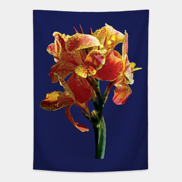 Cannas - Closeup of Spotted Orange Canna Tapestry by SusanSavad