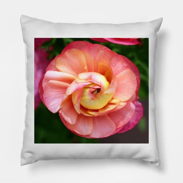 Pink bud Pillow by ikshvaku