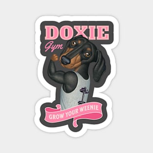 Cute Doxie going to the gym to grow your weenie in pink Magnet