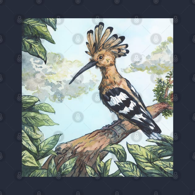 hoopoe on a branch - traditional watercolor painting by Karolina Studena-art