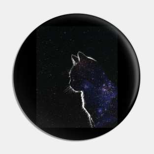 Star Covered Cat Pin