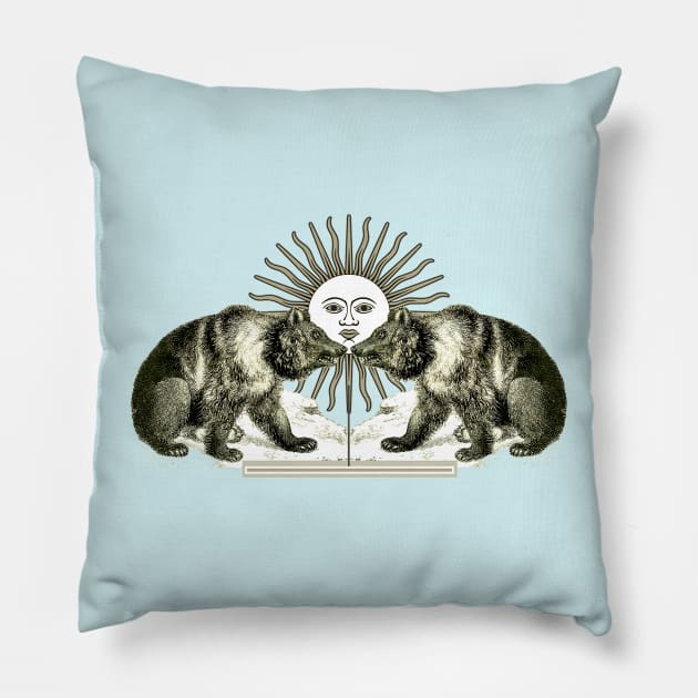 Sun of the Bears Pillow by Marccelus