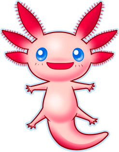 Axolotl Magnet