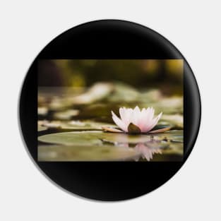 Meditation Wall Art Print - Water Lily Meditation - canvas, Photo print, artboard print, poster Canvas Print Pin