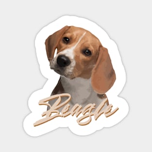 Beautiful Beagle Dog! Magnet