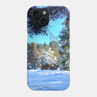 Scenery at the Sormovsky Park in Nizhny Novgorod with pine trees, spruces, and snow Phone Case