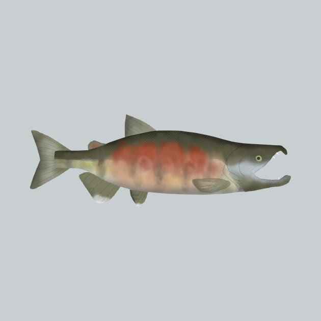 Chum Salmon - Spawn Phase by FishFolkArt