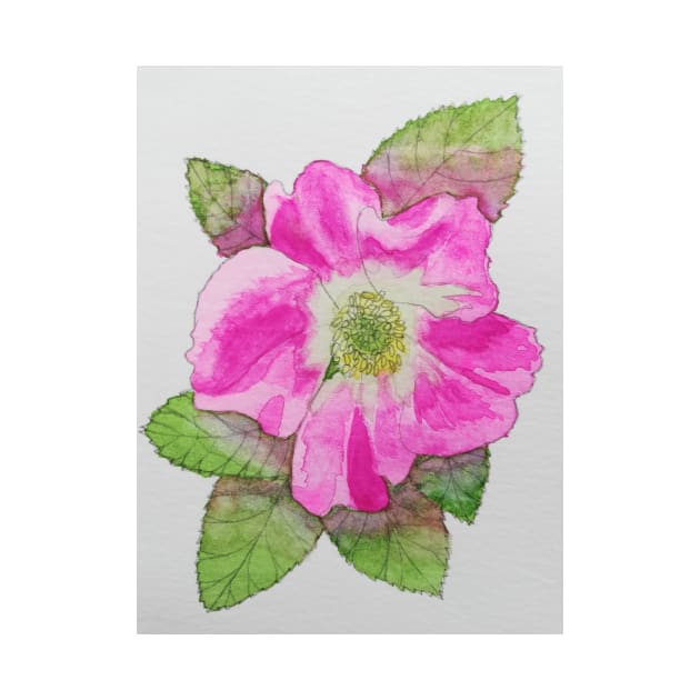 Pink wild rose watercolour painting by esvb