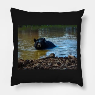 Bear Bath Pillow