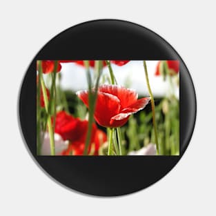 Poppies In the Grass Pin