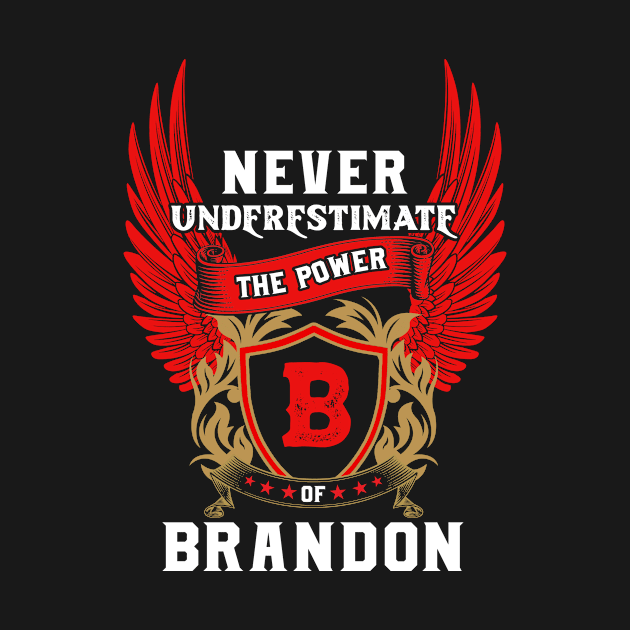 Never Underestimate The Power Brandon - Brandon First Name Tshirt Funny Gifts by dmitriytewzir