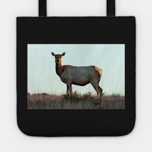 Tule Elk Cow Tote