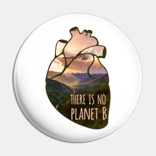 there is no planet B - landscape Pin