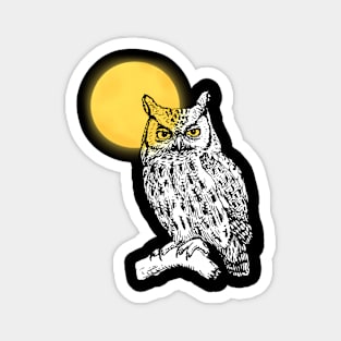 Flaco Owl And Moon Magnet