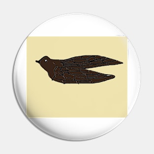 Aerodramus fuciphagus Pin