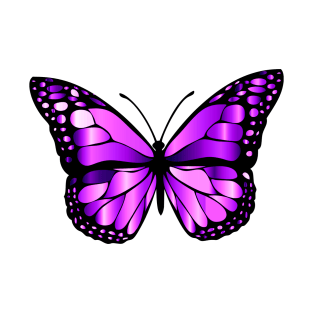 Cute Colorful Butterfly art design T-Shirt