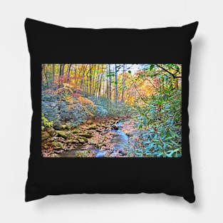 Down the Creek Pillow