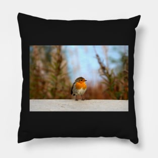 Robin Pillow