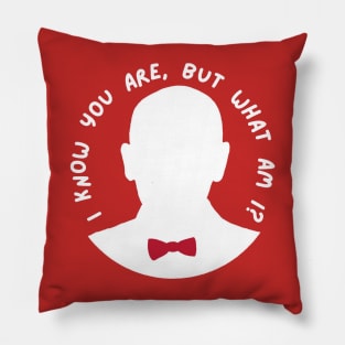 I Know You Are, But What Am I? Pillow