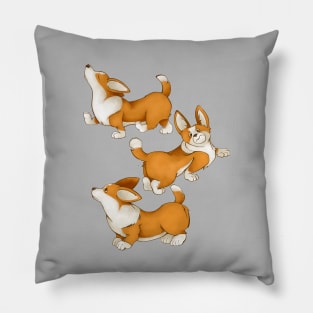 Cute dogs of the Corgi breed. Puppies for a walk. Pillow