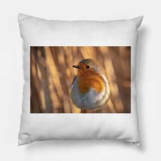 Robin dreams Pillow